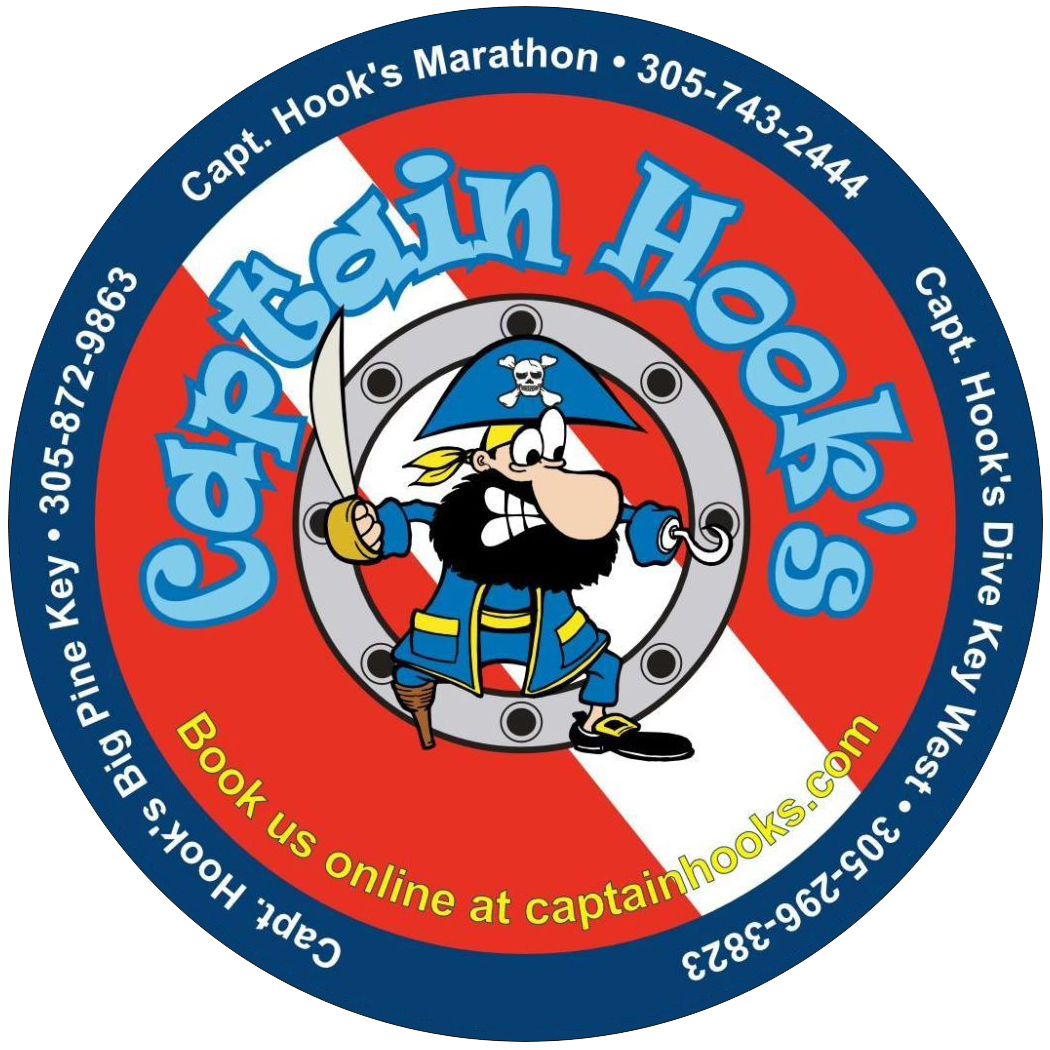 Captain Hook Red.png